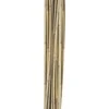 Home4You Bamboo Bambuko lazdos SODE H150cm 10vnt/komplektas D10/12mm