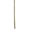 Home4You Bamboo Bambuko lazdos SODE H180cm 10vnt/komplektas D12/14mm