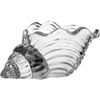 Lova Žvakidė „SHELL“, 13 x H6 cm, stiklo