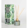 Home4You Nendrių difuzorius NATURE Žalias 100ml, Evergreen