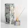 Home4You Nendrių difuzorius NATURE Žalias 100ml, Northern Forest