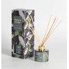 Home4You Nendrių difuzorius NATURE Žalias 100ml, "Southern Night