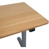 Home4you Reguliuojamo aukščio darbo stalas ERGO LIGHT su 1 varikliu 120x60cm, sidabro pilka/ąžuolas