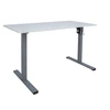 Home4you Reguliuojamo aukščio darbo stalas ERGO LIGHT su 1 varikliu 120x60cm, sidabro pilka/balta
