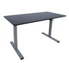 Home4you Reguliuojamo aukščio darbo stalas ERGO OPTIMAL su 1 varikliu 120x60cm
