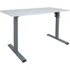 Home4you Rašomasis stalas ERGO OPTIMAL 1 variklis 120x60 cm, Spalva: balta/pilka