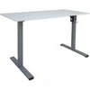 Home4you Rašomasis stalas ERGO OPTIMAL 1 variklis 120x60 cm, Spalva: balta/pilka