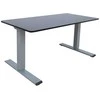 Home4you Rašomasis stalas ERGO OPTIMAL su 2 varikliais 140x80cm, Spalva: juoda