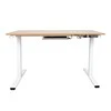 Rašomasis stalas ERGO su 1 varikliu, 120x60xH73-121cm, Spalva: balta/ąžuolas