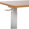 Home4You Desk ERGO with one leg 70x40xH66-106cm, manual, oak/baltas