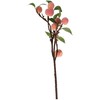 Home4You Dirbtinė šakelė GREENLAND H50cm su persikais