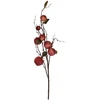 Home4You Dirbtinė šakelė GREENLAND H96cm su obuoliais