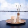 Home4You Kvapų lazdelės nuomos beržas, 100 ml