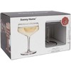 Home4You Kokteilių taurės CRYSTAL 2vnt 150ml "Daily cocktail"