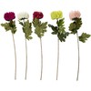Home4You Dirbtinė gėlė FLOWERLY H74cm, chrizantema