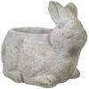 Gėlių vazonas STONE 18x13xH14,5cm, triušis
