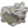 Gėlių vazonas STONE 19×15,5xH14cm, varlė