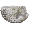 Gėlių vazonas STONE 20x15xH11cm, ežiukas