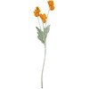 Dirbtinė gėlė FLOWERLY „Aguona“, rinkinys