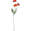 Dirbtinė gėlė „FLOWERLY“ „Aguona“, raudona arba oranžinė, įvairių spalvų rinkinys