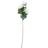 Home4You Dirbtinė gėlė „FLOWERLY“, aukštis 67 cm, balta, „Mimosa“