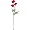 Dirbtinė gėlė „FLOWERLY“ „Aguona“, raudona arba oranžinė, įvairių spalvų rinkinys
