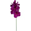 Home4You Orchidėja ŽIEDAS H60cm, mišinys