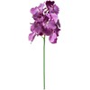 Home4You Orchidėja ŽIEDAS H60cm, mišinys
