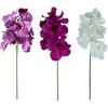 Home4You Orchidėja ŽIEDAS H60cm, mišinys