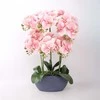 Home4You Rožinė Orchidėja GARDEN QUEEN A64cm, šviesiai rožinė