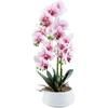 Home4You Orchid GREENLAND H68cm baltas pot, light pink flower