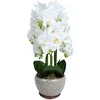 Orchidėja SODE H72cm pilkas vazonas