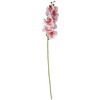 Home4You Orchidėja GĖLĖ H94cm, šviesiai rožinė