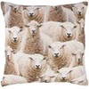 Fotelis Home4You Dekoratyvinė pagalvėlė HOLLY 45x45cm, avių raštas