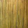 Home4You Pinta bambuko tvora IN GARDEN, 1x3m