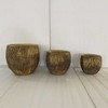 Gėlių vazonas „SUNNY OAK“, D29 x H26 cm, rudas