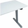 Home4you Reguliuojamo aukščio darbo stalas ERGO LIGHT su 1 varikliu 120x60cm, sidabro pilka/balta