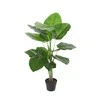 Home4you Žalias augalas POTHOS H90cm