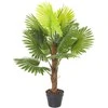 Home4You Žalias augalas FAN PALM H100cm