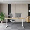 Home4you Stalo rėmas ERGO FIT su 1 varikliu, baltas