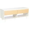 Home4You TV staliukas HERTA 120x40x48 cm