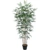 Home4you Žalias augalas BAMBOO, aukštis 150 cm