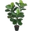 Home4You Žalias augalas FIDDLE LEAF, aukštis 100 cm