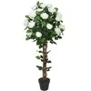 Home4You Žalias augalas ROSE TREE, aukštis 120 cm, 2 stiebai, juodas vazonas