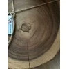 Zassenhaus Lentelė serviravimui 45cm, akacija (prekė su defektu)