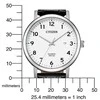 Laikrodis Citizen BI5070-06A