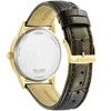 Laikrodis Citizen „Eco-Drive“ AW0102-13AC