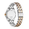 Laikrodis Citizen Eco-Drive EO1213-85E