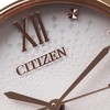 Laikrodis Citizen Eco-Drive EM0506-77A