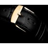 Laikrodis Adriatica A1113.1223Q